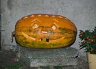 Foto (58) : Zimníček - 7.11.2015